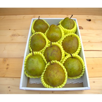 【2026年度先行受付】冬の山形から甘いラ・フランスをお届け!　ラ・フランス　秀品3kg　3L～6L