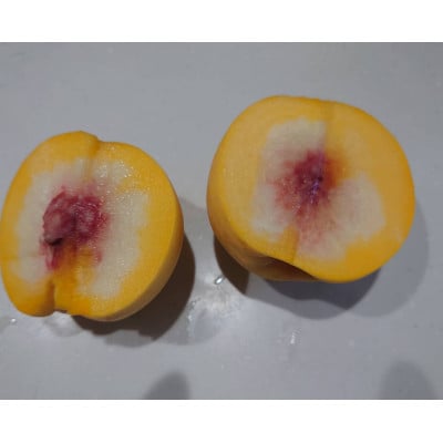 【2025年先行受付】農家おすすめのマーブル桃「あかつき姫」　約2kg