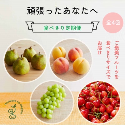 【発送月固定定期便】頑張ったあなたへの贈り物　食べきりフルーツ定期便全4回