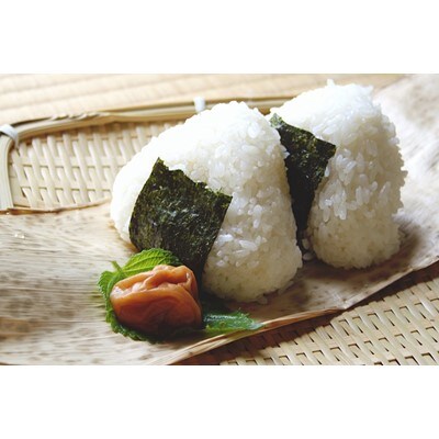 【無洗米】特別栽培米 コシヒカリ精米2kg×5袋 一等米 山形県庄内 令和4年産