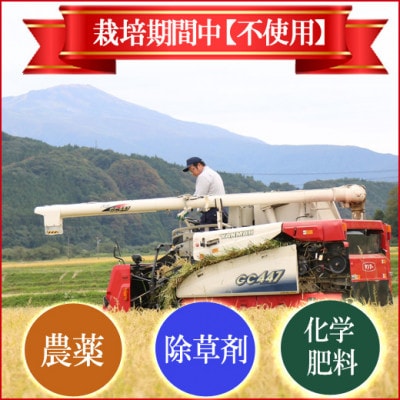 【農薬:栽培期間中不使用】つや姫 玄米5kg 大粒1.9mm以上厳選 令和7年産