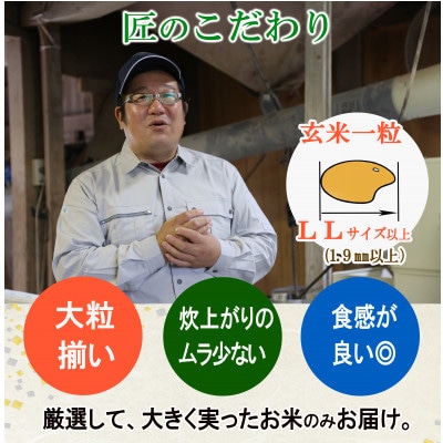 <栽培期間中農薬不使用 つや姫 玄米5kg 大粒LLサイズ以上厳選>令和6年産