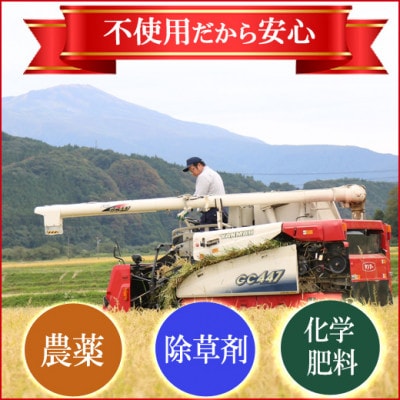 <栽培期間中農薬不使用 コシヒカリ 玄米5kg 大粒LLサイズ以上厳選>令和6年産