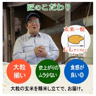 <栽培期間中農薬不使用 ひとめぼれ 白米5kg 大粒LLサイズ以上厳選>令和6年産