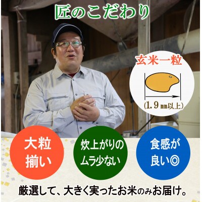 【農薬:栽培期間中不使用】ひとめぼれ 白米5kg 令和7年産 大粒1.9mm以上厳選