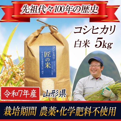 【栽培期間中農薬不使用】 コシヒカリ 白米5kg 大粒1.9mm以上厳選 令和7年産