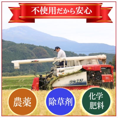 <栽培期間中農薬不使用 コシヒカリ 白米5kg 大粒LLサイズ以上厳選>令和6年産