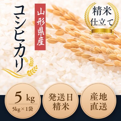 【栽培期間中農薬不使用】 コシヒカリ 白米5kg 大粒1.9mm以上厳選 令和7年産