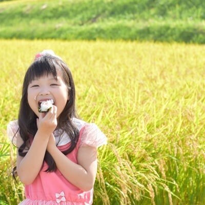 【特別栽培米】2種食べ比べセット 計8kg　はえぬき・ひとめぼれ 一等米 山形県 令和5年産