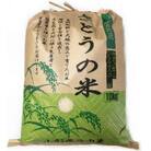 【特別栽培米】ササニシキ 精米10kg　鳥海山の恵み 山形県産 令和6年産