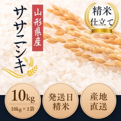 【特別栽培米】ササニシキ 精米10kg　鳥海山の恵み 山形県産 令和7年産