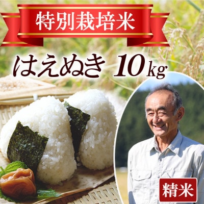 【特別栽培米】はえぬき 精米10kg　山形県産　鳥海山の恵み 令和7年産