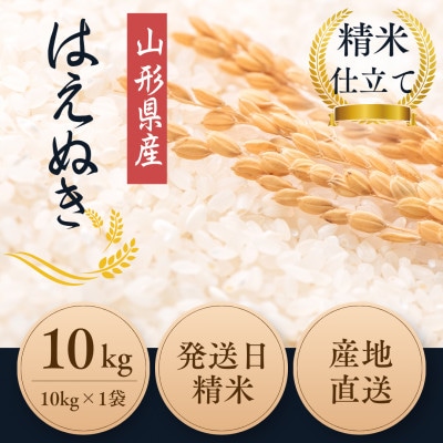 【特別栽培米】はえぬき 精米10kg　山形県産　鳥海山の恵み 令和7年産