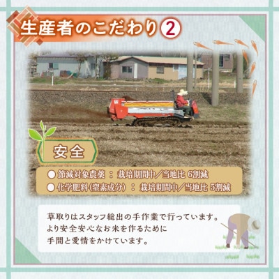 【特別栽培米】はえぬき 精米10kg　山形県産　鳥海山の恵み 令和7年産