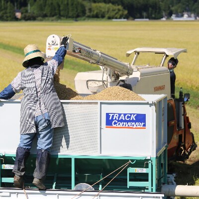 【特別栽培米】ひとめぼれ 精米10kg　鳥海山の恵み 山形県庄内 令和6年産