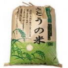 【特別栽培米】コシヒカリ 精米10kg　鳥海山の恵み 山形県庄内 令和6年産
