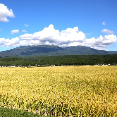 【食味ランク特A】つや姫 精米20kg(10kg×2袋) 特別栽培米 山形県庄内 令和5年産