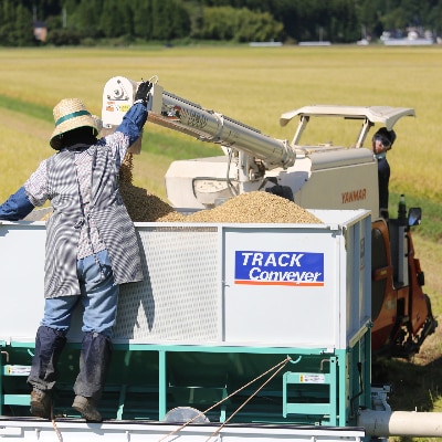 【食味ランク特A】つや姫 精米20kg(10kg×2袋) 特別栽培米 山形県庄内 令和5年産