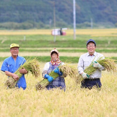 【栽培期間中農薬不使用】つや姫 白米5kg 大粒LLサイズ以上厳選 令和5年産
