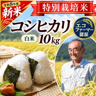 ◆新米◆【特別栽培米】コシヒカリ 精米10kg　鳥海山の恵み 山形県庄内 令和8年産