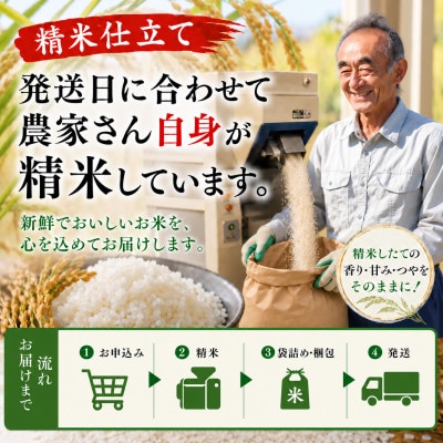 ◆新米◆【特別栽培米】コシヒカリ 精米10kg　鳥海山の恵み 山形県庄内 令和8年産