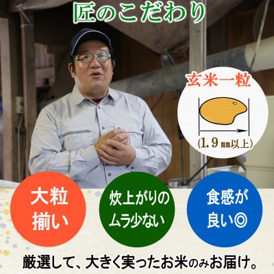 【農薬:栽培期間中不使用】つや姫 玄米10kg 大粒1.9mm以上厳選 令和7年産