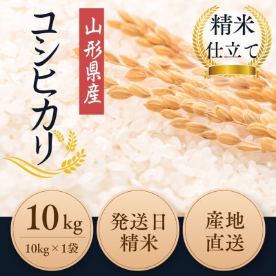 【農薬:栽培期間中不使用】 コシヒカリ 白米10kg 大粒1.9mm以上厳選 令和7年産