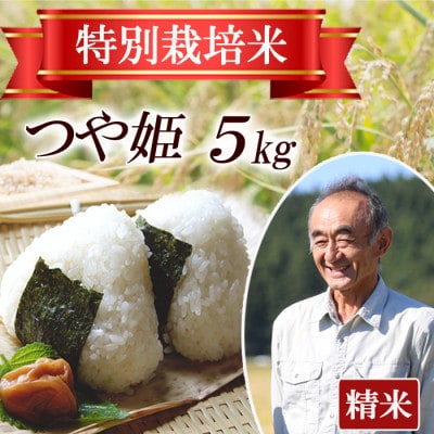 【食味ランク特A】つや姫 精米5kg 特別栽培米 山形県産 令和7年産