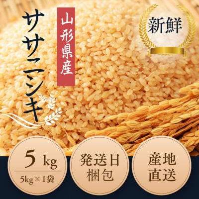 【特別栽培米】ササニシキ 玄米5kg　山形県産　鳥海山の恵み 令和7年産