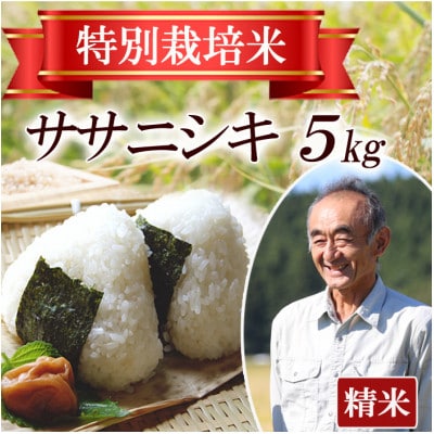 【特別栽培米】ササニシキ 精米5kg　山形県産　鳥海山の恵み 令和7年産
