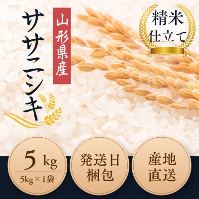 【特別栽培米】ササニシキ 精米5kg　山形県産　鳥海山の恵み 令和7年産