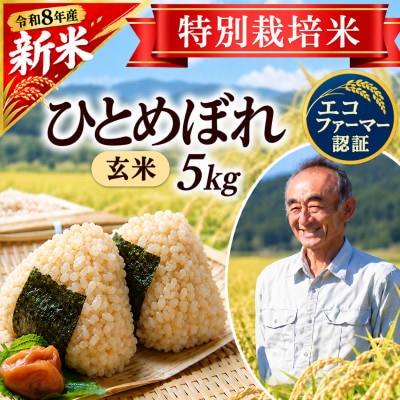 ◆新米◆【特別栽培米】ひとめぼれ 玄米5kg　山形県産　鳥海山の恵み 令和8年産