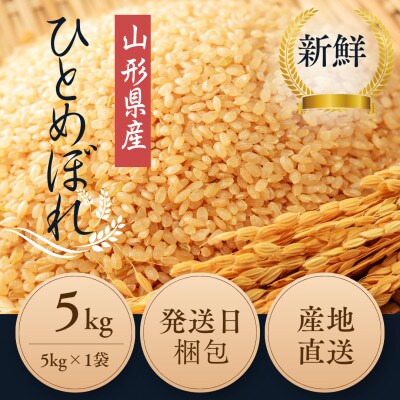 【特別栽培米】ひとめぼれ 玄米5kg　山形県産　鳥海山の恵み 令和7年産