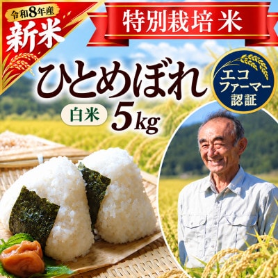 【特別栽培米】ひとめぼれ 精米5kg　山形県産　鳥海山の恵み 令和8年産