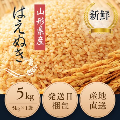 【特別栽培米】はえぬき 玄米5kg　米どころ山形県産　鳥海山の恵み 令和7年産