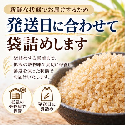 ◆新米◆【特別栽培米】はえぬき 玄米5kg　減農薬 山形県産　鳥海山の恵み 令和8年産