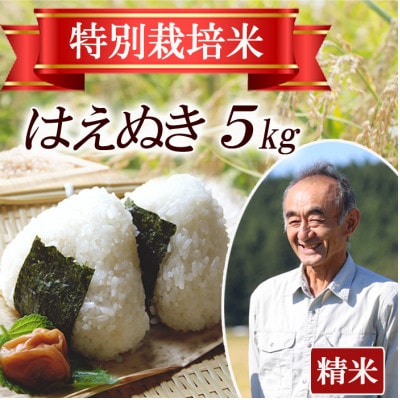 【特別栽培米】はえぬき 精米5kg　山形県産　鳥海山の恵み 令和7年産