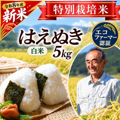 【特別栽培米】はえぬき 精米5kg　山形県産　鳥海山の恵み 令和8年産
