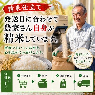 【特別栽培米】はえぬき 精米5kg　山形県産　鳥海山の恵み 令和8年産