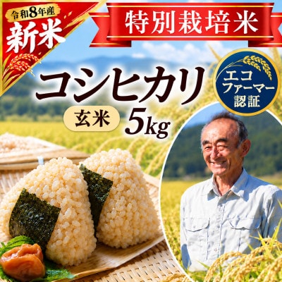【特別栽培米】コシヒカリ 玄米5kg　山形県産　鳥海山の恵み 令和8年産