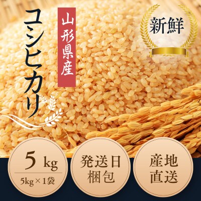 【特別栽培米】コシヒカリ 玄米5kg　山形県産　鳥海山の恵み 令和7年産
