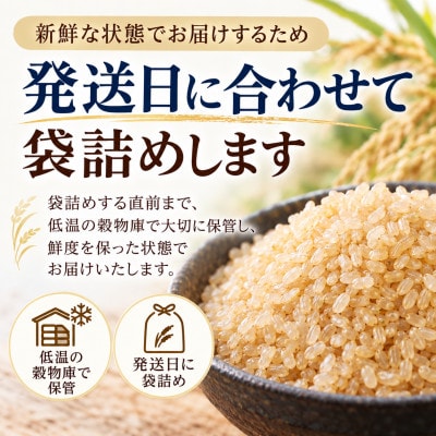 【特別栽培米】コシヒカリ 玄米5kg　山形県産　鳥海山の恵み 令和8年産