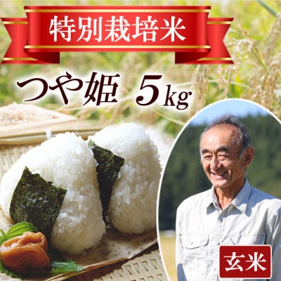 【特別栽培米】つや姫 〈玄米〉5kg　山形県産　鳥海山の恵み　 令和7年産　
