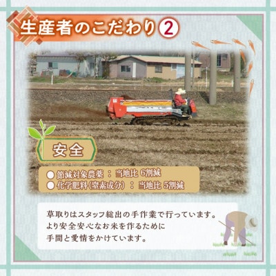 【特別栽培米】つや姫 〈玄米〉5kg　山形県産　鳥海山の恵み　 令和7年産　
