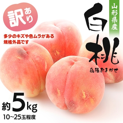 フルーツ王国・山形産 白桃 約5kg(10～25玉程度) 訳あり品【2025年8月上旬より順次発送】