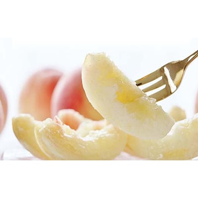 フルーツ王国・山形産 白桃 4.5kg(10～25玉程度)訳あり品【2026年8月上旬より順次発送】