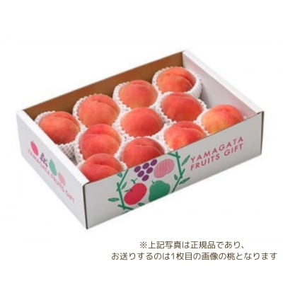 フルーツ王国・山形産 白桃 約5kg(10～25玉程度) 訳あり品【2025年8月上旬より順次発送】