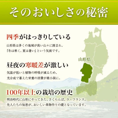 【2025年9月中旬より順次発送】☆フルーツ王国山形☆プラム(秋姫)　秀品　約1.4kg