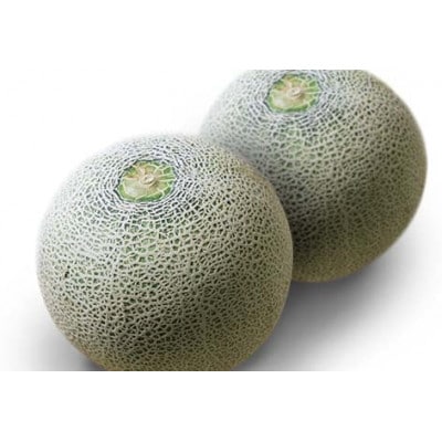 【2026年7月中旬より順次発送】♪フルーツ王国山形♪アンデスメロン(青肉)　2玉