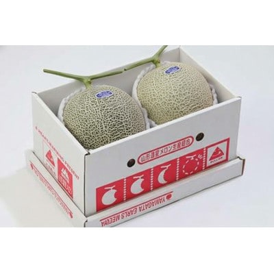 【2026年7月中旬より順次発送】♪フルーツ王国山形♪アンデスメロン(青肉)　2玉